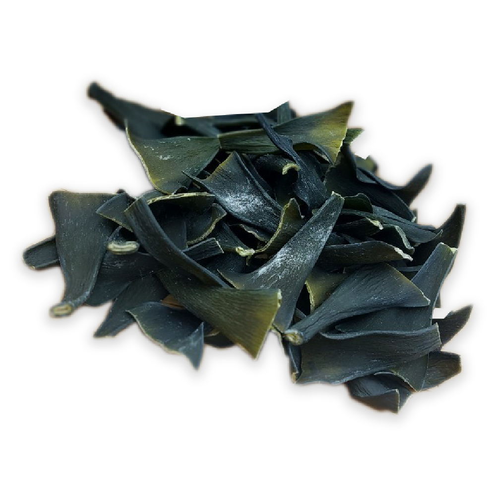 根昆布(北見利尻)